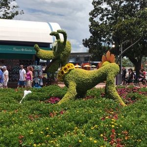 Meet your Posher, Cristina